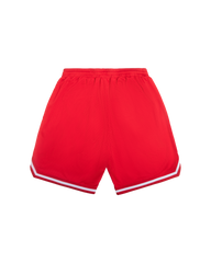 Team IC Running Dog Basketball Shorts