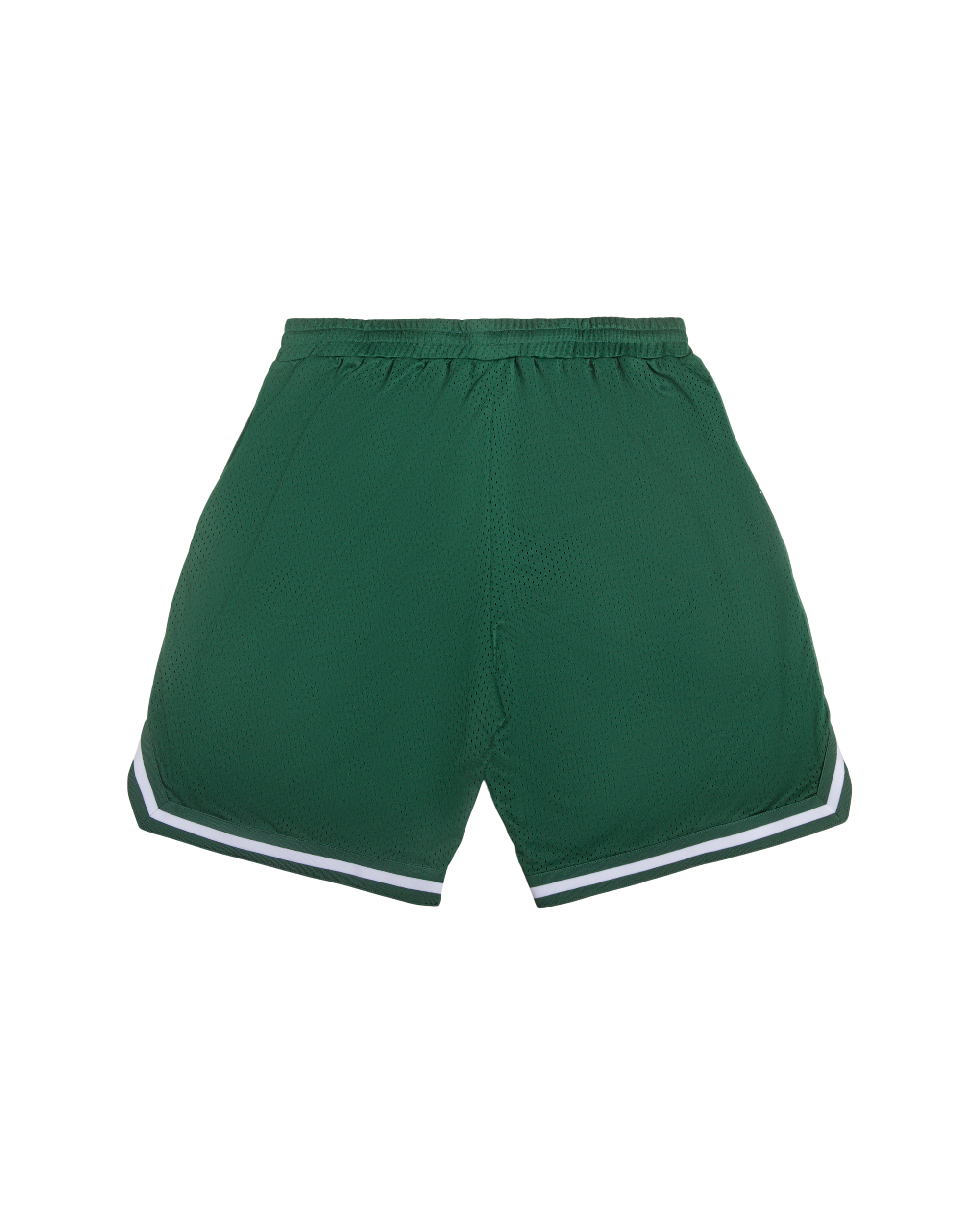 Team IC Running Dog Basketball Shorts